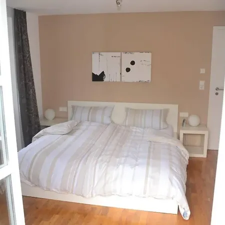 Ferienwohnung Henrich Waldshut-Tiengen Extérieur photo