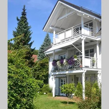 Ferienwohnung Henrich Waldshut-Tiengen Extérieur photo